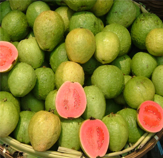 Guava fruit cut open