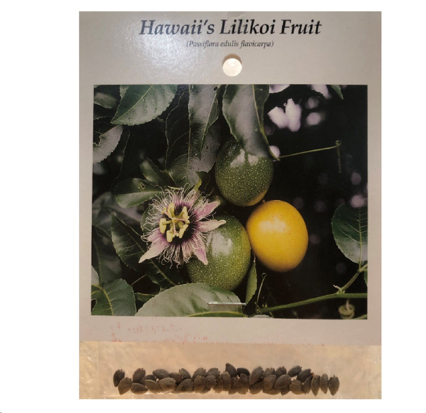 Lilikoi Passion Fruit plant seeds