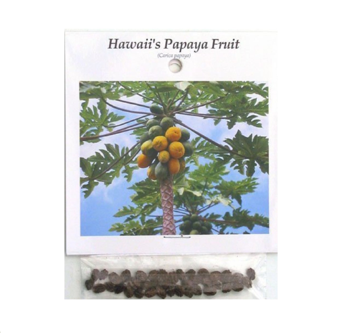 Papaya Carica Fruit plant seeds