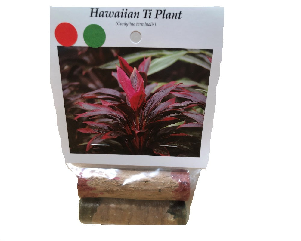 Red and Green Cordyline Fruticosa Ti Leaf Plant logs