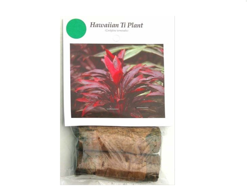 Green Ti Leaf Plant logs