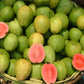 Guava fruit cut open
