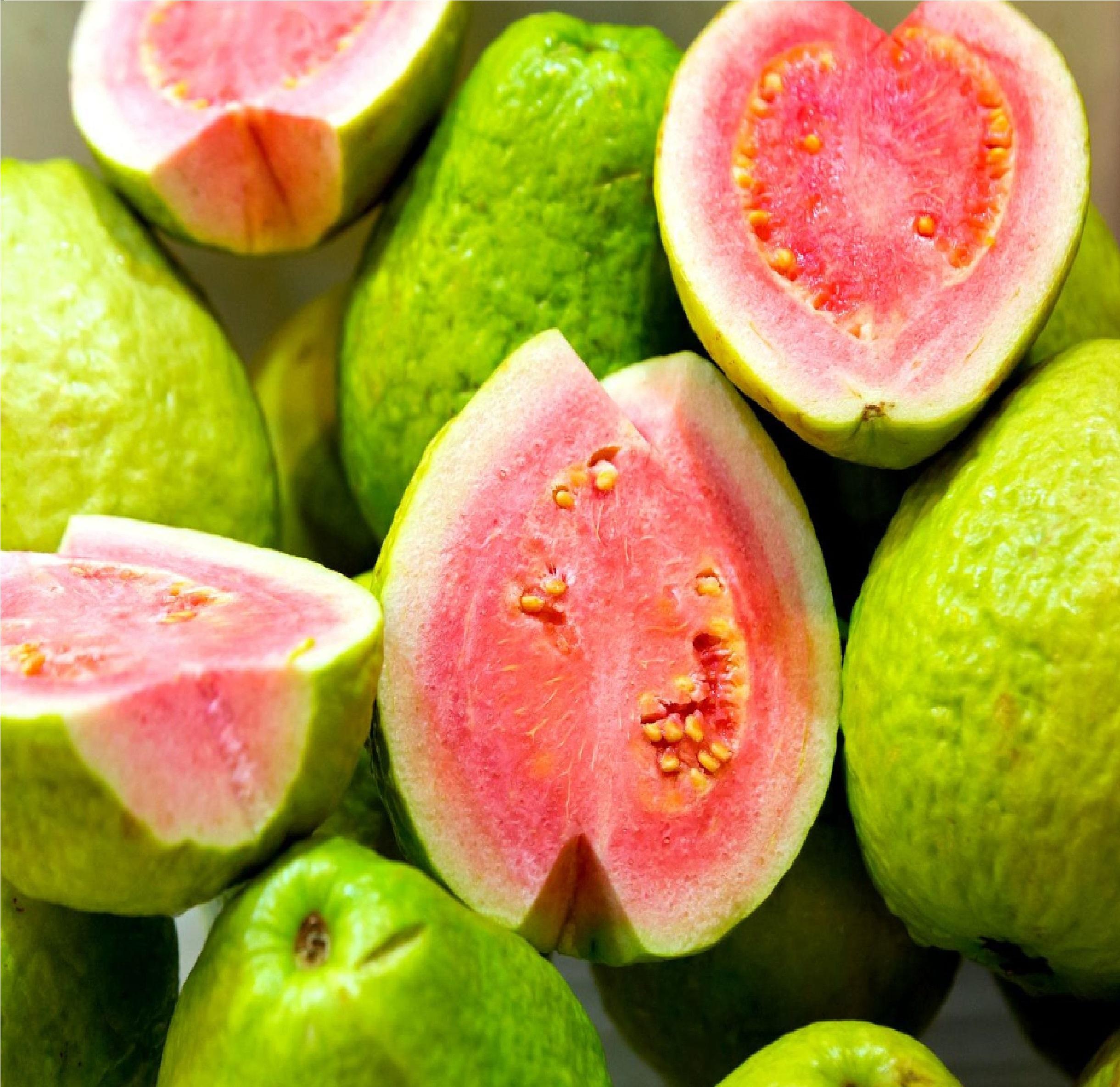 Guava fruit cut open