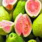 hawaiian tropical fruit guava