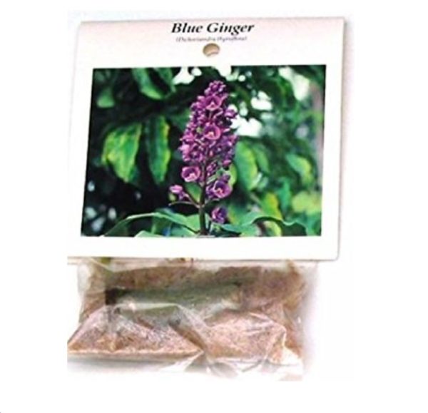 blue ginger plant root new5