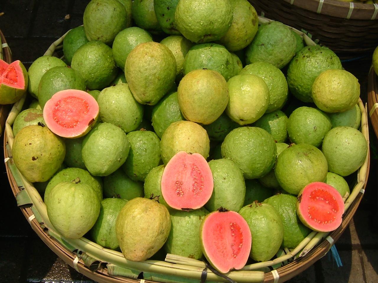 Guava open fruit